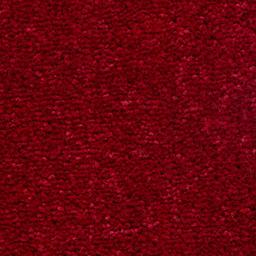 Royal-Red-(5181)c