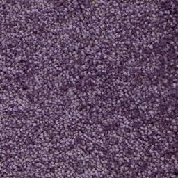 Royal-Plum-(5142)