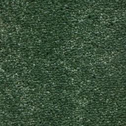 Royal-Olive-(5151)