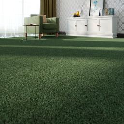 Royal-Olive-(5151)-P