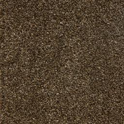 Hermes-Oaken-(5554)