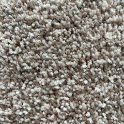 Sedney-Sport-Shells-Cream-(5206)