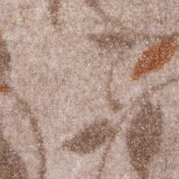 Elgoli-Beige-(5012)